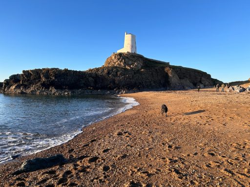 Ynys Llanddwyn